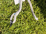 USED 2023 Neo SLS 6m - Duotone Kiteboarding Kite